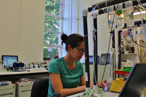 Post Doctoral researcher Rachael Heuer in the lab